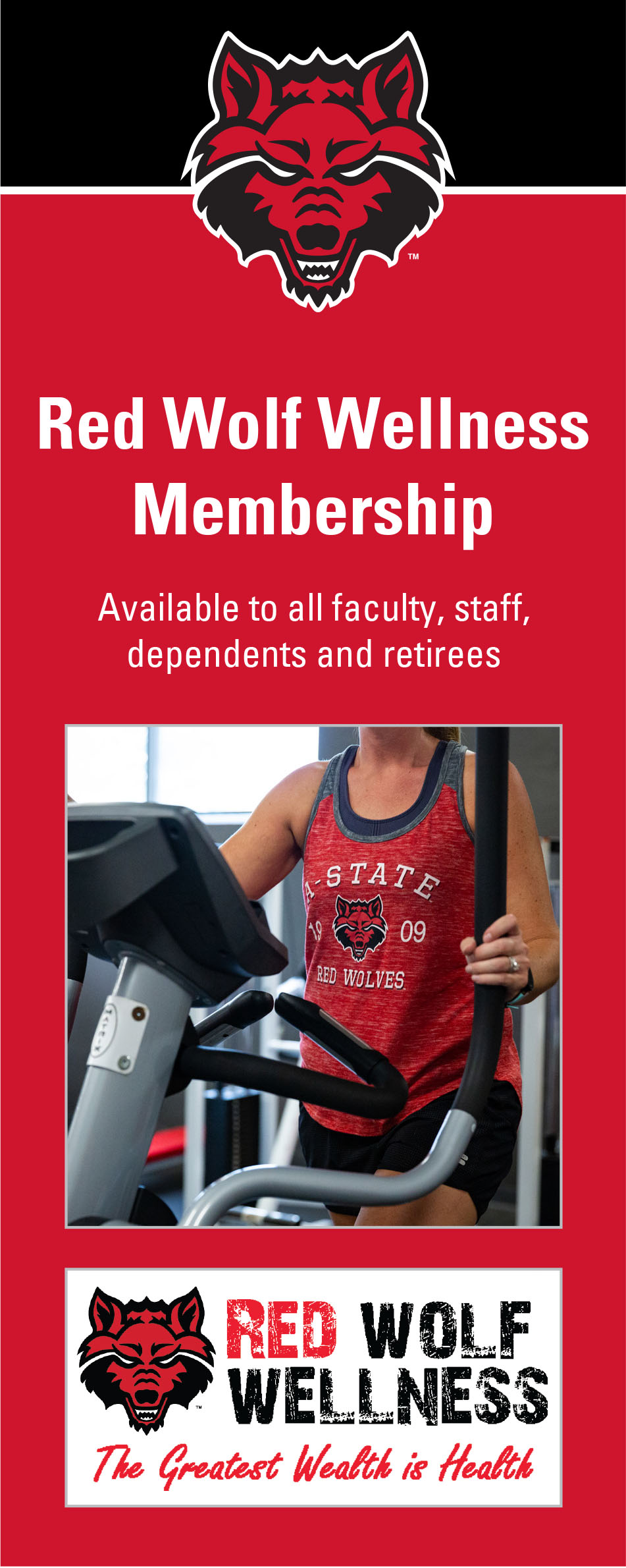 Redwolves Wellness brochure