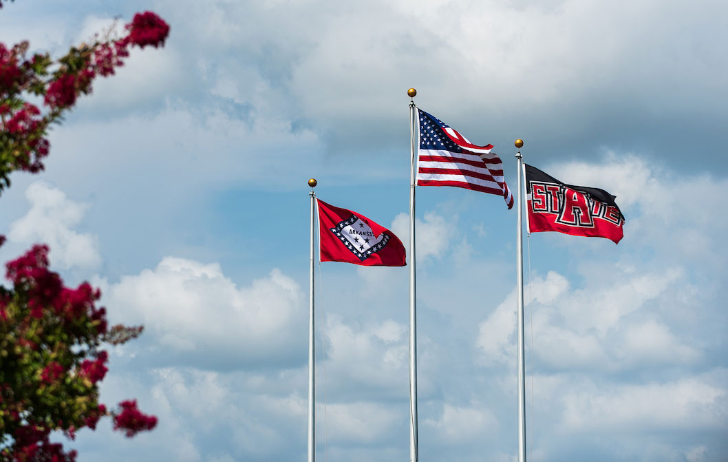 Flags on campus