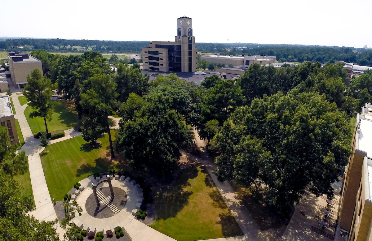 Aerial photo of Arch and Library