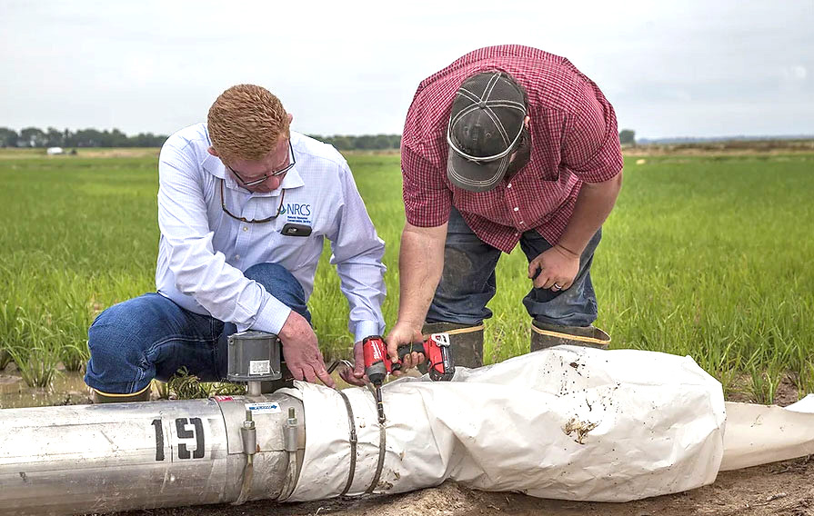 Soil-and-Water-field activity