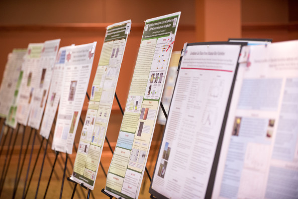 Poster Presentations