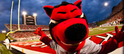 Howl mascot at football stadium